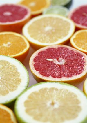 地域に愛され続けるお弁当の名店！つるやの仕出し弁当と惣菜の魅力と店舗情報