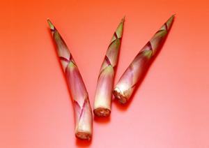 藤沢で味わう絶品中華料理ガイド2026年最新版：おすすめ店と選び方